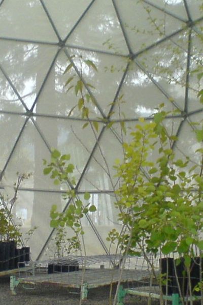 Cupole Greenhouse